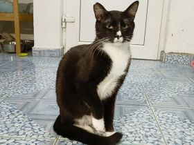 Mutter Djamila und Sohn Morris suchen ihr gemeinsames Glück!