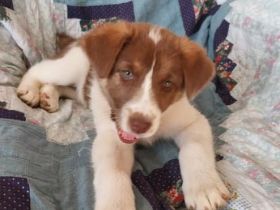 Cleo ist bereit, die Welt zu erobern