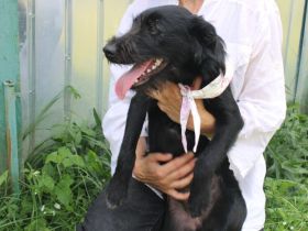 Salome: Energie trifft Schmusebacke