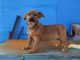 Hallo - Ich bin Lilu