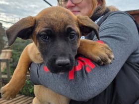 Mach dein Herz auf für Pia!