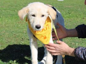 Rasmus ist einfach zum Dahinschmelzen