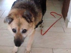 Für Leira - Nadel im Heuhaufen gesucht