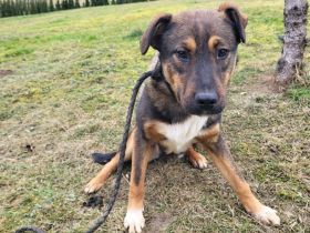 Gizmo möchte mit dir die Welt entdecken