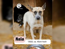 NALA möchte ihre Lebensfreude zurück