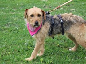 Finchen wartet geldudig auf ihren Neuanfang!