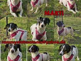 Marti möchte ins Warme