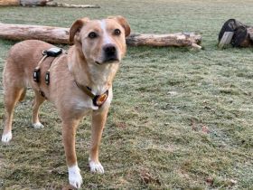 Jungmama Kira sucht Ihre Familie