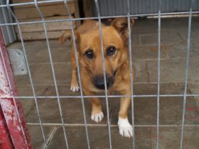 Funny - ein echtes Unikat