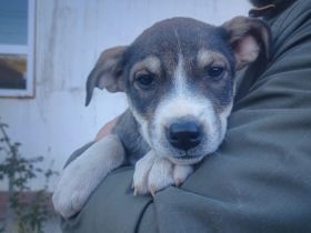 Jenni wartet auf dich!