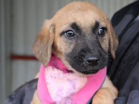 Bei Lovely ist der Name Programm