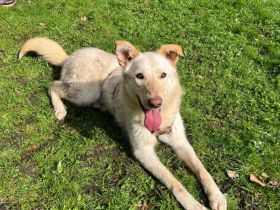 Sonnenschein Souraya sucht ihre Menschen