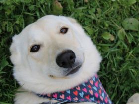 Sonnenschein Souraya sucht ihre Menschen