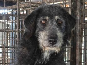 Gib Betty eine zweite Chance: Ihr Herz braucht Zeit zum Öffnen