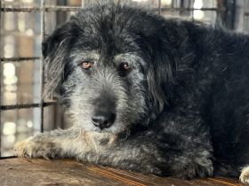 Gib Betty eine zweite Chance: Ihr Herz braucht Zeit zum Öffnen