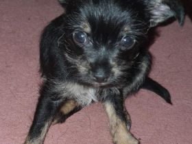 Wir zwei suchen ab sofort ein zu Hause