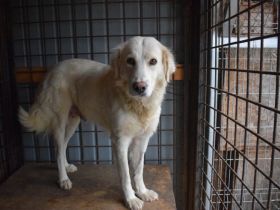 Sanfte Ro wünscht sich ein Leben voller Sicherheit und Liebe