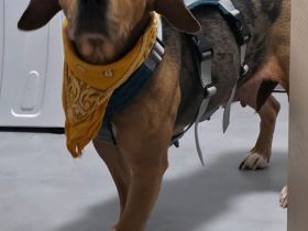 Ängstliche, zurückhaltende Mathilda sucht dringend