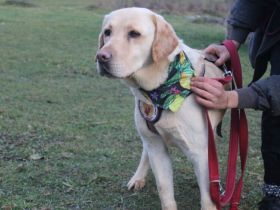 Hat Lindi dein Herz schon erobert?