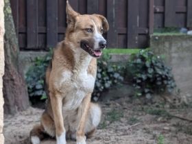 Ronya sucht ein warmes Plätzchen