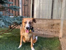 Ronya sucht ein warmes Plätzchen