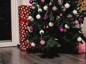 Heilige birma Kitten