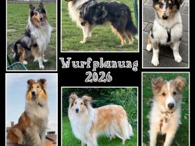Wurfplanung 2026