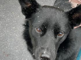 Mave - sensibel und liebevoll