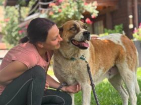 Verliebst du dich in die tolle Annie?