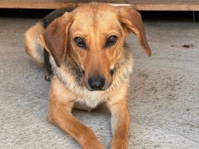 Schüchterne Gretchen sucht Schutzzone