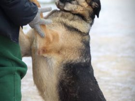 Ilana wartet schon viele Jahre auf ein Zuhause