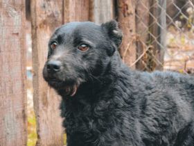 Strahlemann Mupi sucht seine Menschen
