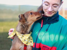 Aline hat überlebt - wer schenkt ihr ein Leben in Liebe