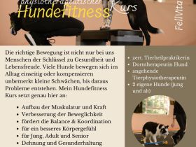 Hundefitness Kurs