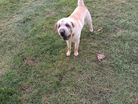 Hallo ich bin die Bella