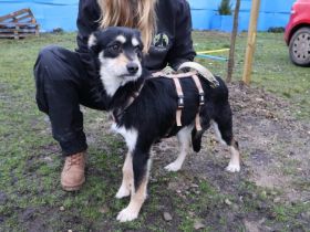 Kleiner Kämpfer Felipe sucht sein großes Glück