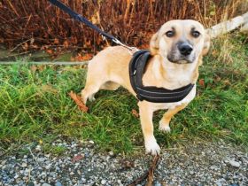 Wer hat unsere Sluppy lieb?