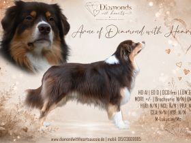 Arne of Diamond with Hearts