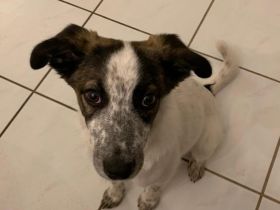 Helga ist bereit für ihr neues Leben