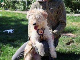 Freddie ist bereit für deine Abenteuer