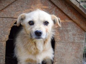 Leano wartet schon auf dich!