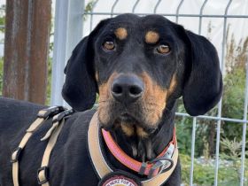 Baki wartet auf seine Familie