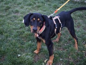 Baki wartet auf seine Familie