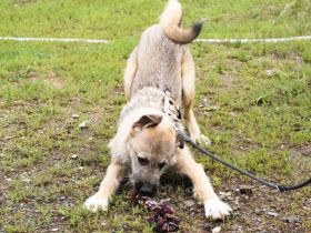 Verliebst du dich in den hübschen Billy?