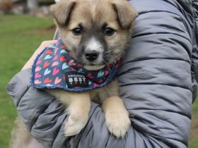 Babsy – kleines Flaschenkind mit großem Herzen