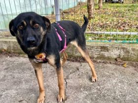 Wer schenkt Fea Sicherheit?