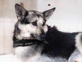 Dita sucht einfühlsame Menschen