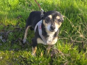 Betty sucht ein Zuhause