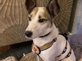 Fine sucht ihren sicheren Hafen