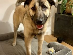 Butschek wartet auf dich!